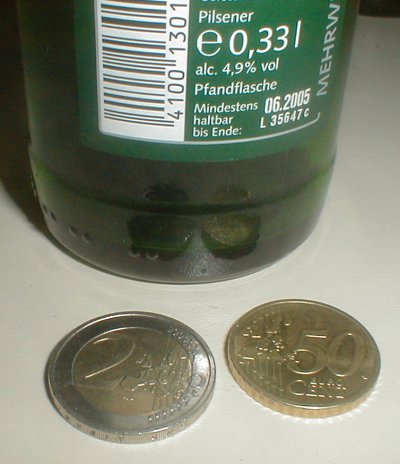 Echtbier